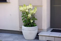 Gartendekoparadies Jardinières-Grand pot de fleurs avec relief