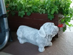 Gartendekoparadies Animaux-Grand teckel à poil dur