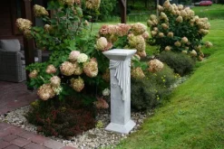 Gartendekoparadies Belle|Colonnes & Socles-Grande base 30 x 30 cm avec designer motif