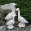 Gartendekoparadies Animaux-Grande famille d'oie