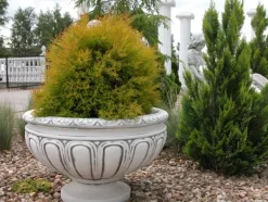 Gartendekoparadies Jardinières-Grande jardinière
