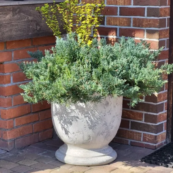 Gartendekoparadies Jardinières-Grande jardinière