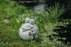 Gartendekoparadies Animaux-Grenouille drôle