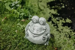 Gartendekoparadies Animaux-Grenouille drôle