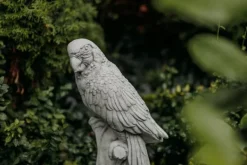 Gartendekoparadies Animaux-gros perroquet