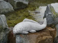 Gartendekoparadies Animaux-Gros poisson