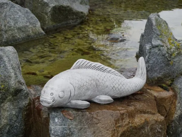Gartendekoparadies Animaux-Gros poisson