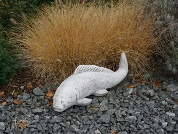 Gartendekoparadies Animaux-Gros poisson