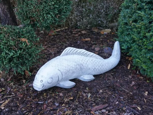 Gartendekoparadies Animaux-Gros poisson