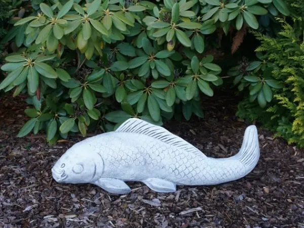 Gartendekoparadies Animaux-Gros poisson