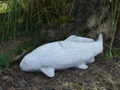 Gartendekoparadies Animaux-Gros poisson koi