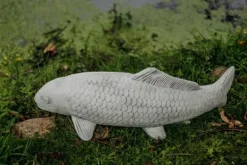 Gartendekoparadies Animaux-Gros poisson koi