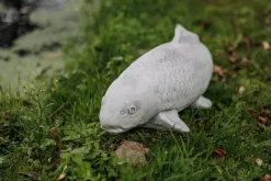 Gartendekoparadies Animaux-Gros poisson koi