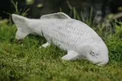 Gartendekoparadies Animaux-Gros poisson koi