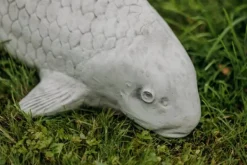 Gartendekoparadies Animaux-Gros poisson koi