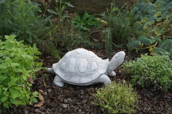 Gartendekoparadies Animaux-Grosse tortue