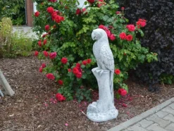 Gartendekoparadies Animaux-Immense sculpture de perroquet