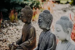 Gartendekoparadies Bouddhas-Immense statue de Bouddha dans des tons de bronze exclusifs