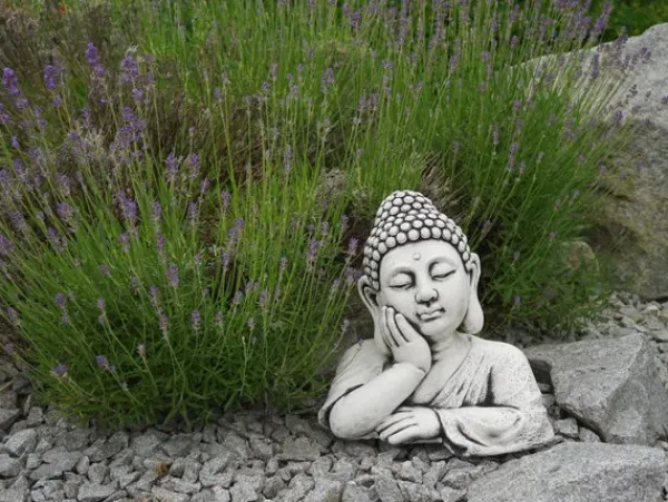 Gartendekoparadies Bouddhas-Imposant buste de bouddha