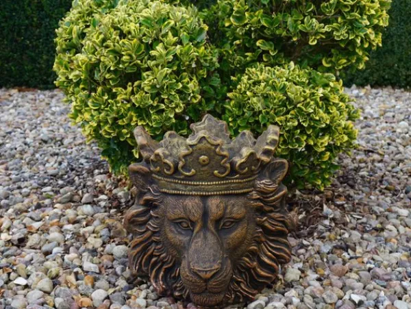 Gartendekoparadies Jardinières-Jardinière dorée
