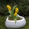 Gartendekoparadies Jardinières-Jardinière en forme de coeur