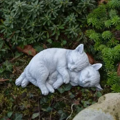 Gartendekoparadies Animaux-Jouer aux chats