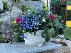 Gartendekoparadies Jardinières-Lapin bol de plantes de Pâques