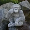 Gartendekoparadies Animaux-Le chimpanzé mignon observe des personnes