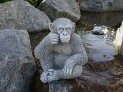 Gartendekoparadies Animaux-Le chimpanzé mignon observe des personnes
