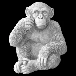 Gartendekoparadies Animaux-Le chimpanzé mignon observe des personnes