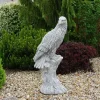 Gartendekoparadies Animaux-Énorme aigle sur souche d'arbre