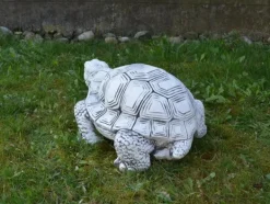 Gartendekoparadies Animaux-Énorme tortue