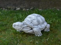 Gartendekoparadies Animaux-Énorme tortue