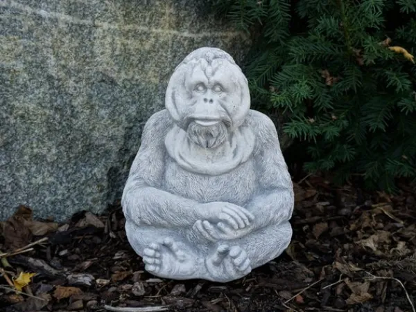 Gartendekoparadies Animaux-Orang-outan paisible