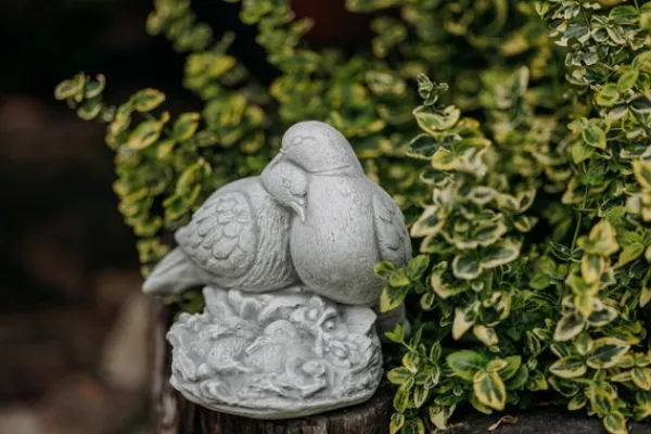 Gartendekoparadies Animaux-Paire de pigeons avec progéniture