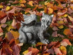 Gartendekoparadies Animaux-Petit dragon ancien