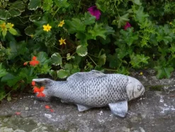 Gartendekoparadies Animaux|Bouddhas-Poisson koi avec gaufrage noir