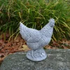 Gartendekoparadies Animaux-Poule au magnifique plumage