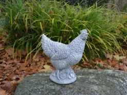 Gartendekoparadies Animaux-Poule au magnifique plumage