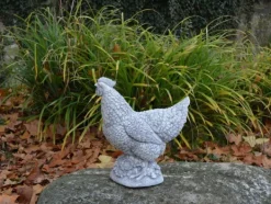 Gartendekoparadies Animaux-Poule au magnifique plumage