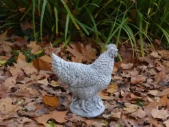 Gartendekoparadies Animaux-Poule au magnifique plumage