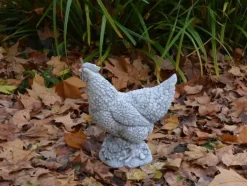 Gartendekoparadies Animaux-Poule au magnifique plumage