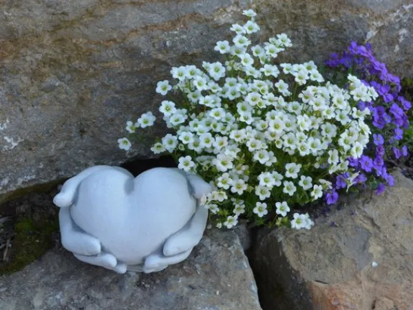 Gartendekoparadies Belle-Prends ton coeur en main