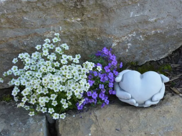 Gartendekoparadies Belle-Prends ton coeur en main