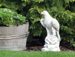 Gartendekoparadies Animaux-Prix ??spécial : aigle royal en double