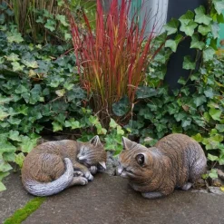 Gartendekoparadies Animaux-Prix ​​spécial : deux chats bruns dans un ensemble