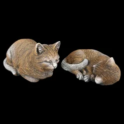 Gartendekoparadies Animaux-Prix ​​spécial : deux chats bruns dans un ensemble