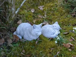 Gartendekoparadies Animaux-Prix ??spécial : deux chats dans un set