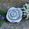 Gartendekoparadies Belle-Prix ​​spécial : deux roses décoratives
