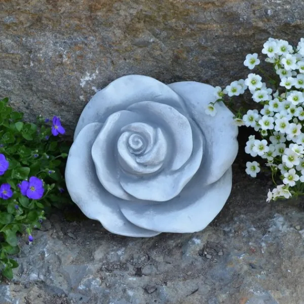 Gartendekoparadies Belle-Prix spécial : deux roses décoratives